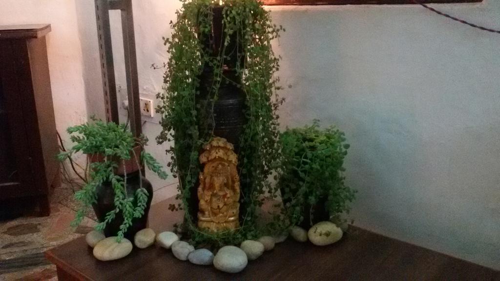 Hotel Sukhsadan 데라둔 외부 사진